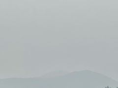-西湖游船