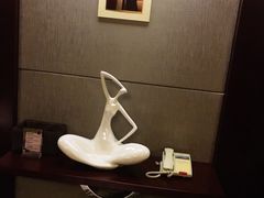 -常州环球恐龙城维景国际大酒店