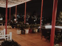 -大队长大灶鹅