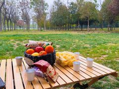 -汉长安城未央宫国家考古遗址公园