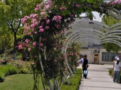 -昆山城市生态森林公园