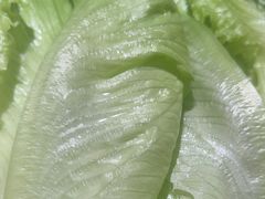 -小天鹅火锅·一线江景洪鼎旗舰店(洪崖洞店)