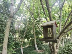 -苏州太湖国际会议中心