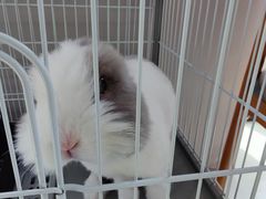 -小意思咖啡店(草桥店)