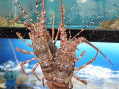 -南燕湾渔家码头