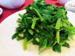 酒香豆苗-老吉士酒家(天平路店)