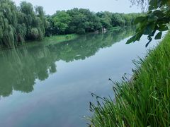 -同里国家湿地公园