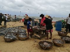 -尼甘布海鲜市场