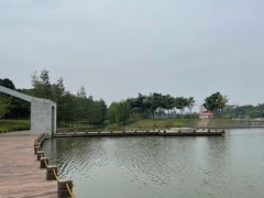 -怡海公园(桂城街道)