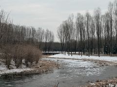 -东郊湿地公园