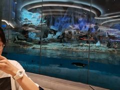 -帝企鹅自助餐厅•儿童岛•真企鹅(长隆企鹅酒店)