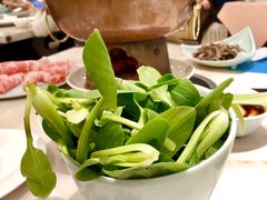 鸡毛菜-洪长兴(广西北路店)