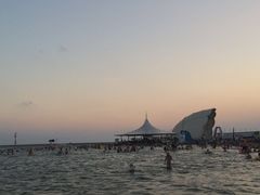 -碧海金沙