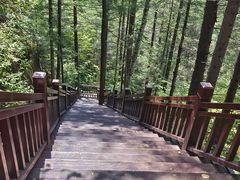 -汤旺河林海奇石景区