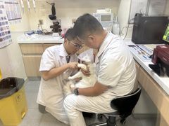 -全心全意连锁动物医院·特色中医诊疗(会城门分院)