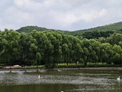 -哈尔滨北方森林动物园