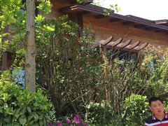 -杭州开元森泊度假乐园