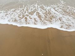 -宝发园名菜馆