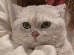 -星巴克(宁波老外滩店)