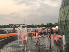 -翠晶水上餐厅(泰晤士小镇店)