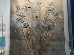 -湖南省地质博物馆