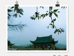 -武汉大学-樱园