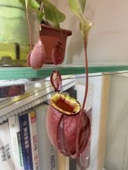-张师傅首饰加工修理(西单华威潮铺街店)
