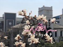 -锡师附小学(学前街校区)