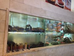 -万龙洲海鲜(广渠门店)
