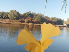 -大兴滨河森林公园