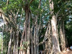 -孔雀湖生态旅游区
