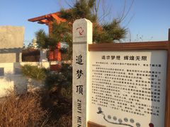 -五龙城郊森林公园