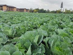 -中国天府农业博览园