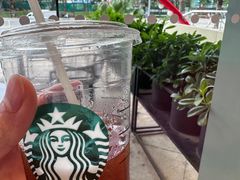 -星巴克臻选(湛江鼎盛广场店)
