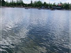 -通辽森林公园