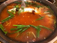 -新凯里酸汤鱼(飞山街店)