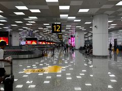 -郑州新郑国际机场-T2航站楼