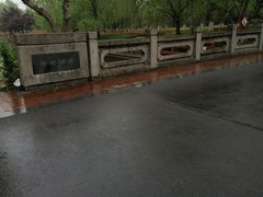 -九科绿洲