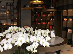 -王德传茶庄(上海新天地店)