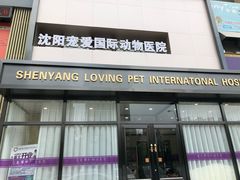 -宠爱国际动物医院· 猫科· 外科·中兽医(长白店)