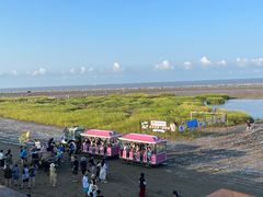 -启东黄金海滩景区