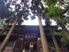 -青城山