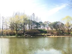 -新江湾城公园