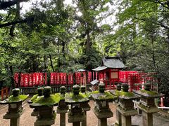 -奈良公园