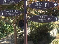 -宁波浙东大竹海景区