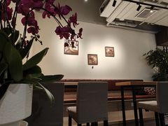 -WOW coffee