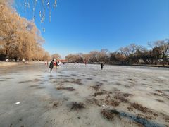 -北陵公园