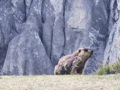 -墨石公园景区
