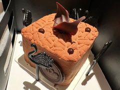 -BLACKSWAN黑天鹅(环球店)