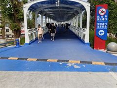 -四川农业大学(雅安校区)